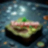 Technological Framework of Terracoin An infographic representing the technological framework of Terracoin